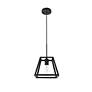 6_Resolute 1 Lt Black Pendant more views