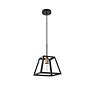 4_Resolute 1 Lt Brass And Black Pendant more views