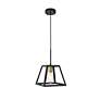 5_Resolute 1 Lt Brass And Black Pendant more views