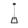7_Resolute 1 Lt Brass And Black Pendant more views