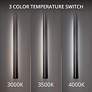 3_Revels 72"H x 5"W 2-Light Outdoor Wall Light in Black more views