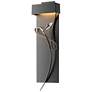 Rhapsody 26.6" High Bronze Accented Black LED Sconce