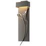 Rhapsody 26.6" High Natural Iron Accented Dark Smoke LED Sconce