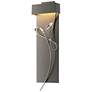 Rhapsody 26.6" High Sterling Accented Dark Smoke LED Sconce