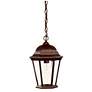 Richmond 1-Light Burled Walnut Hanging Light