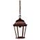Richmond 1-Light Burled Walnut Hanging Light