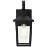 1_Riggs 12 1/2" High Black Outdoor Wall Light