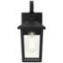 Riggs 12 1/2" High Black Outdoor Wall Light