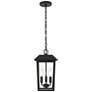 2_Riggs 15" High Black 3-Light Outdoor Hanging Light