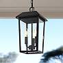 1_Riggs 15" High Black 3-Light Outdoor Hanging Light