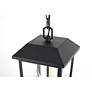 5_Riggs 15" High Black 3-Light Outdoor Hanging Light more views