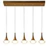 1_Rilistenica 5-Light LED Acrylic Island Pendant Light