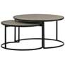 Rina 2 Piece Nesting Coffee Table Set in Concrete and Black Metal