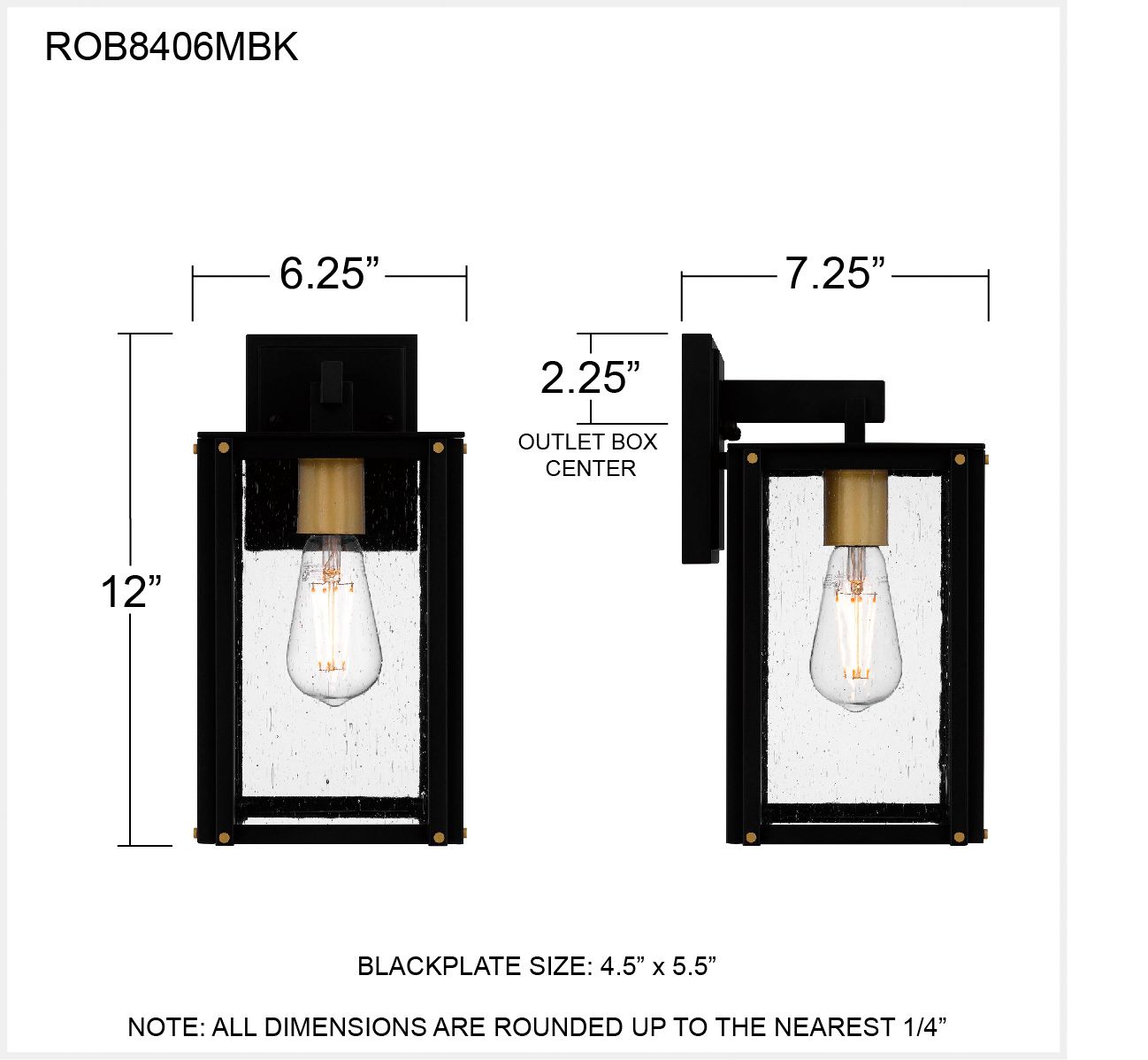 Robbins 1-Light Matte Black Outdoor Wall Lantern