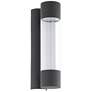 2_Robledo 14"H 2-Light LED Outdoor Wall Light Anthracite Clear Plastic Cover