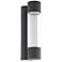 Robledo 14"H 2-Light LED Outdoor Wall Light Anthracite Clear Plastic Cover