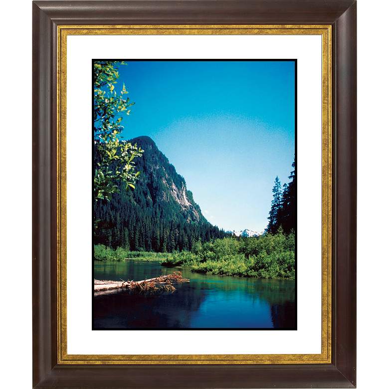 Image 1 Rocky Mountain View Gold Bronze Frame 20 inch High Wall Art
