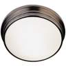 Roderick Collection Silver 13 1/2" Wide Ceiling Light