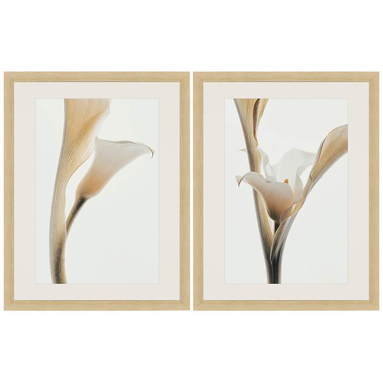 Image 2 Romantic Notes 26" Wide 2-Piece Framed Giclee Wall Art Set