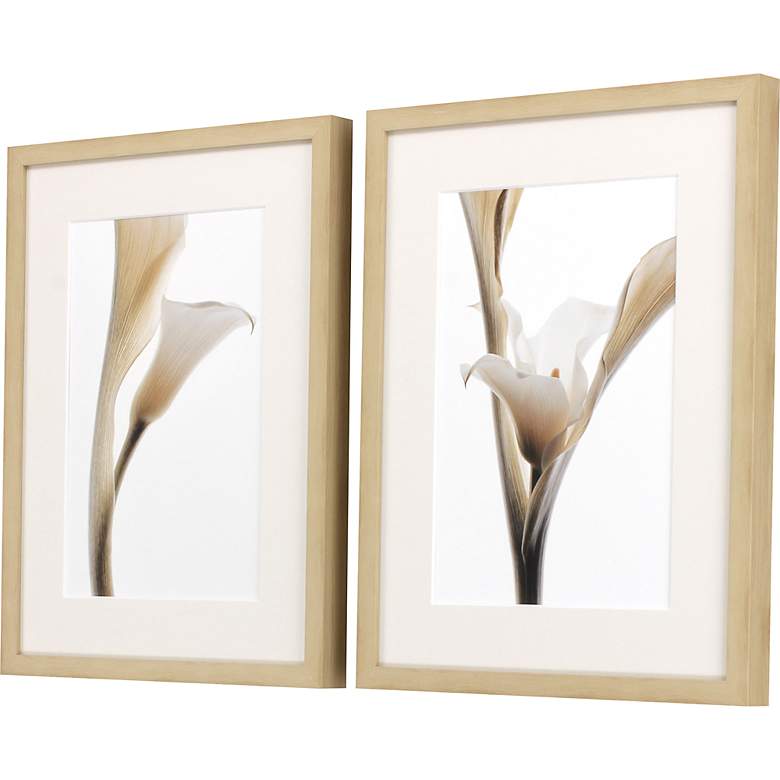 Image 4 Romantic Notes 26" Wide 2-Piece Framed Giclee Wall Art Set more views