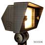 Watch A Video About the Romeo Natural Brass LED Flood Light