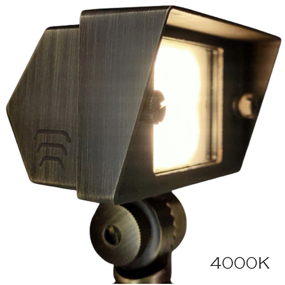 Watch A Video About the Romeo Natural Brass LED Flood Light