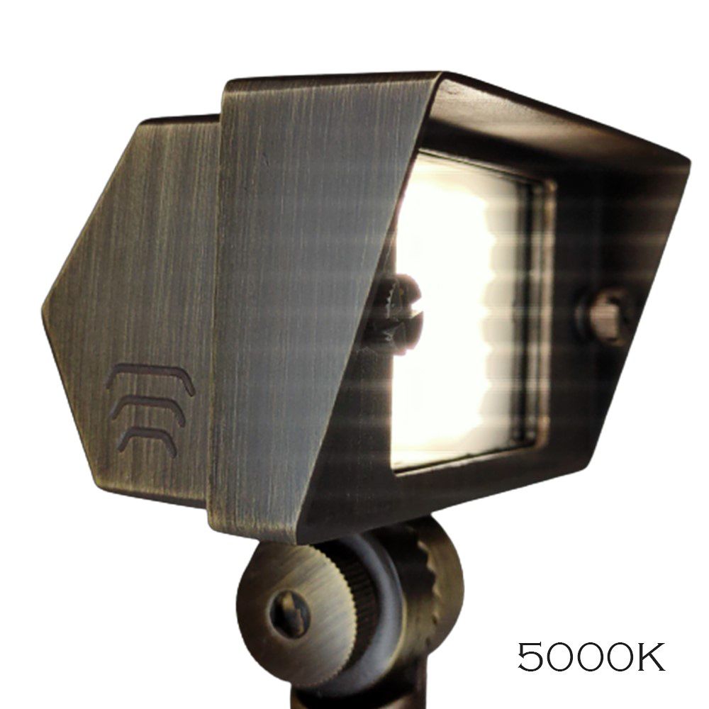 Watch A Video About the Romeo Natural Brass LED Flood Light