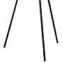 4_Rory Black Metal Tripod Floor Lamp more views