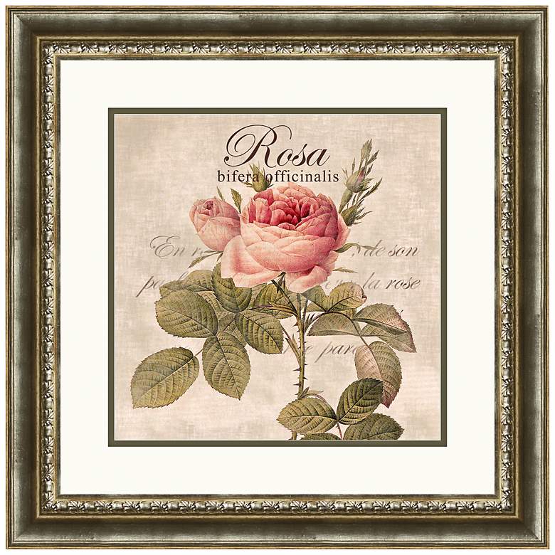 Image 1 Rosa 20 inch Wide Wall Art