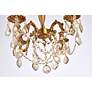 5_Rosalia 17" Wide French Gold 4-Light Ceiling Light more views