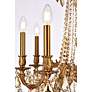6_Rosalia 8 Lt French Gold Chandelier Golden Teak more views