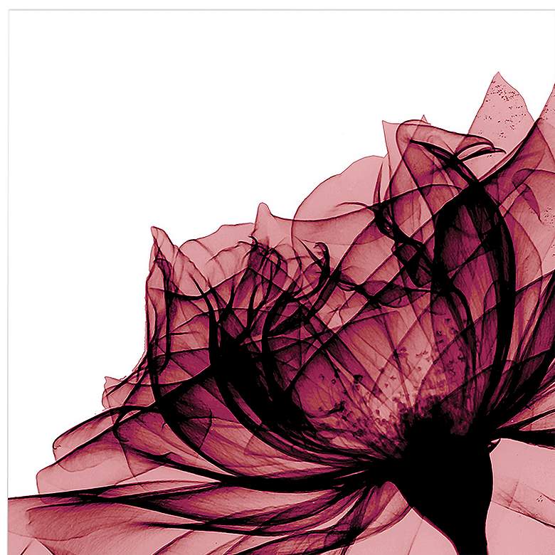Image 4 Rose 48" Wide Free Floating 2-Piece Glass Wall Art Set more views