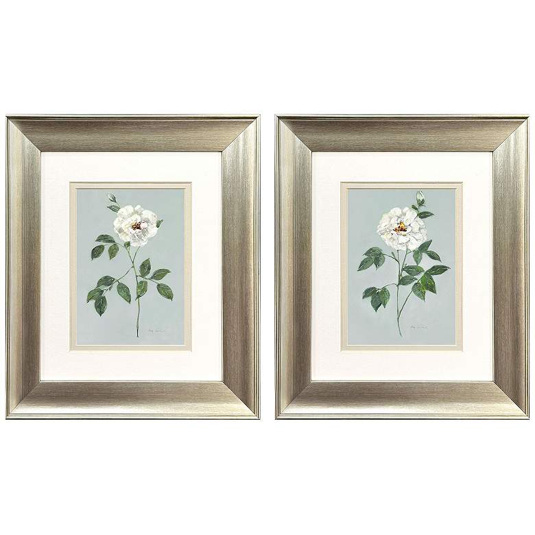 Image 1 Rose Beauty 11"W x 13"H Framed Art - Set of 2