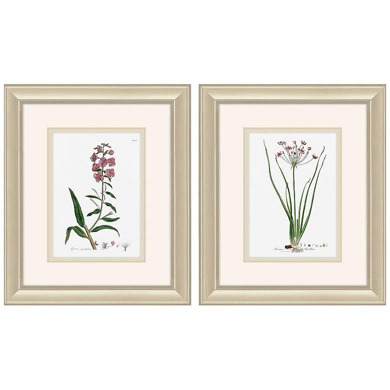 Image 1 Rose Botanical 10"W x 12"H Framed Art Set of 2