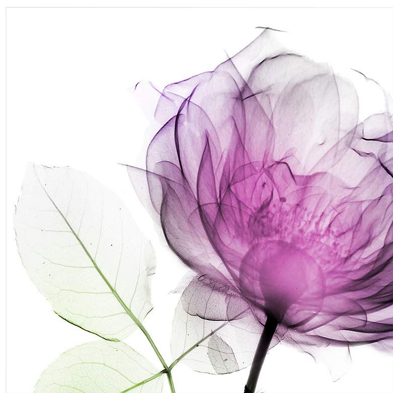 Image 4 Rose Dynasty 1 48" High Free Floating Glass Graphic Wall Art more views