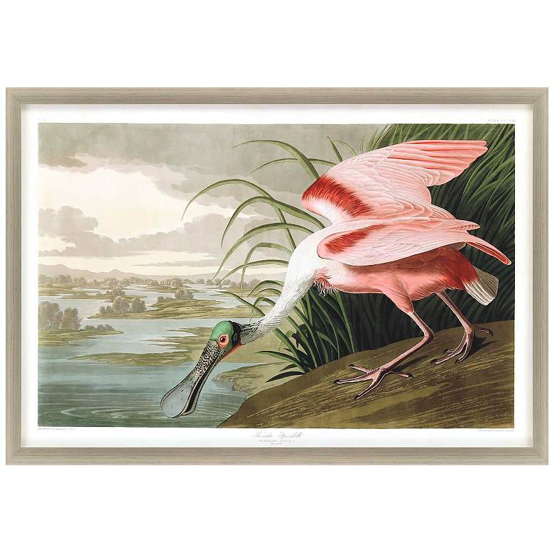 Image 1 Roseate Spoonbill 48"W x 33"H Framed Art