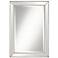 Roseau Silver Pewter 24" x 34" Beaded Wall Mirror