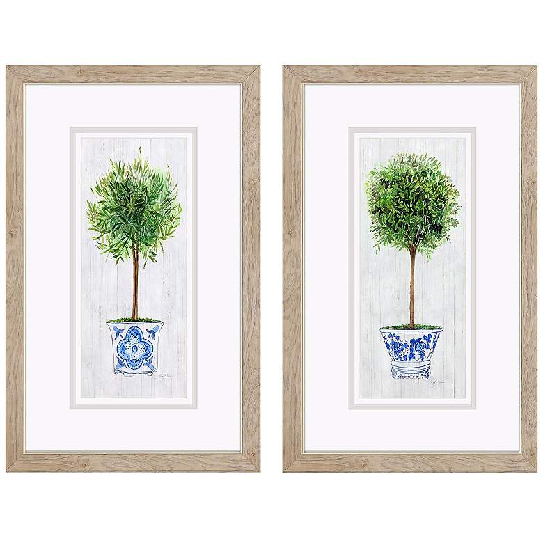 Image 1 Rosemary Thyme 19"W x 31"H Framed Art Set of 2