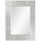 Roslyn Glass 38" x 50" Wall Mirror