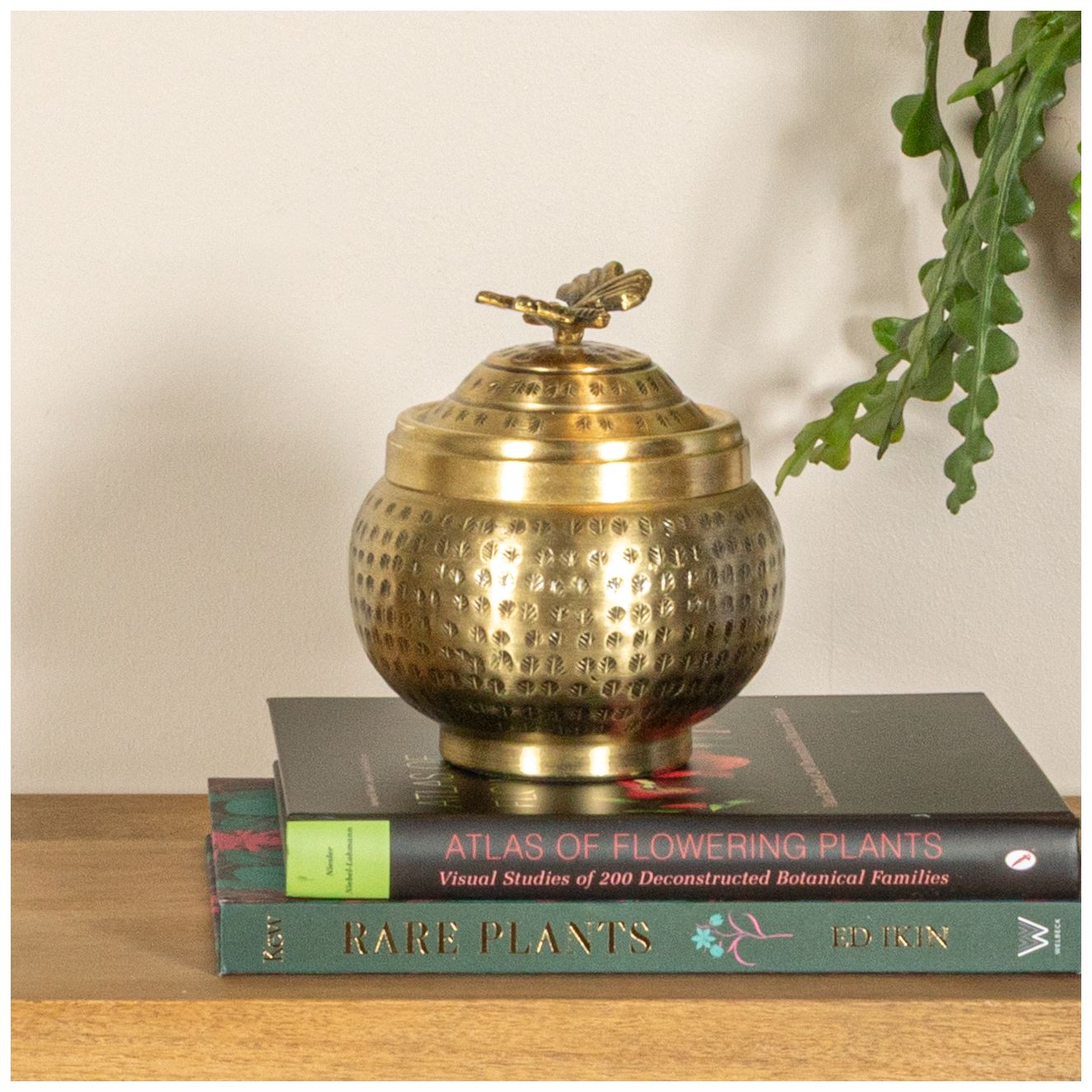 Image 5 Round Hammered Metal Container with Butterfly Finial, Brass Finish more views