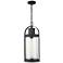Roundhouse 22 1/2" High Black Outdoor Hanging Light