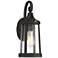 Rover 15 1/2" High Sand Black and Seedy Glass Outdoor Wall Light