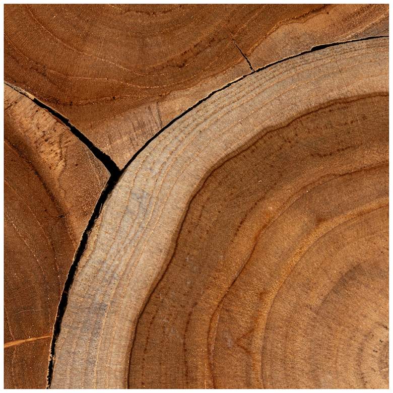 Image 5 Rowena Interiors Mesa Teak Root Slice End Table more views