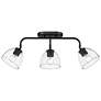 4_Roxie 24 3/4" Wide Matte Black 3-Light Ceiling Light more views