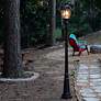 6_Royal Bulb 87"H Brushed Bronze Solar LED Post Light w/ Base more views