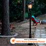 Watch A Video About the Royal Brushed Bronze Solar LED Outdoor Post Light