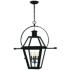 Rue De Royal 29 1/2"H Black 4-Light Outdoor Hanging Light