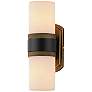 1_Ruffles 14" High Black and Brass 2-Light Outdoor Wall Light