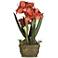 Rust Triple Amaryllis 25" High Faux Flowers in Oval Pot