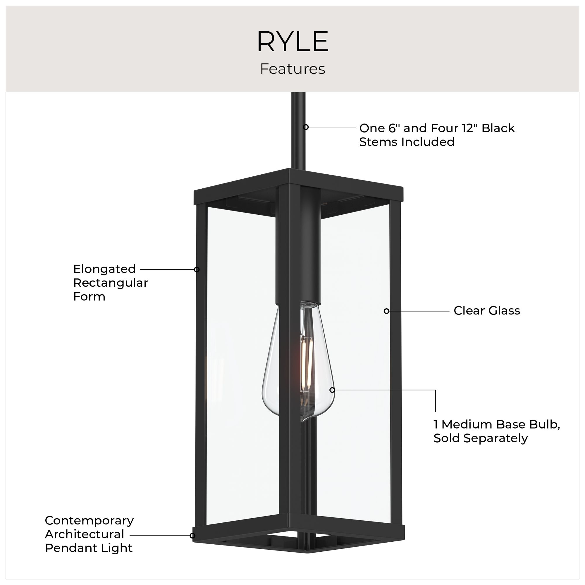 Ryle One-Light Outdoor Pendant Light with Clear Glass Panels